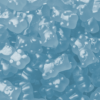 Oursons tropicaux – Image 2